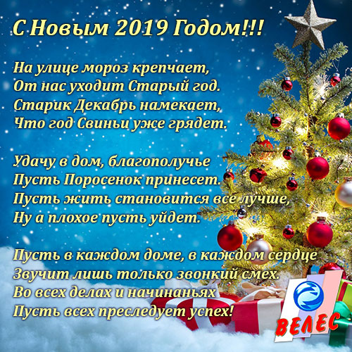 Поздравляем с Новым 2019 годом!!!